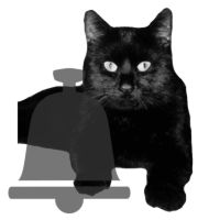 Schwarzer Kater Schwarzer Kater